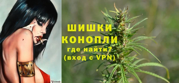 mdpv Новозыбков