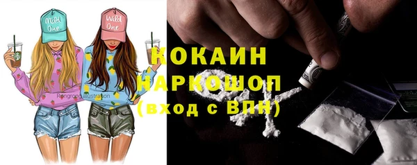 крисы Новокубанск