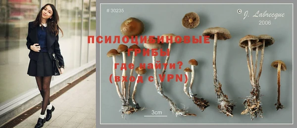 каннабис Новодвинск
