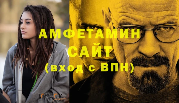 молекула духа Няндома