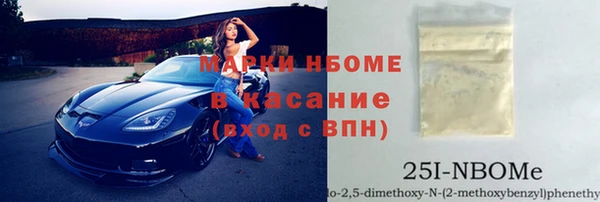 крисы Новокубанск