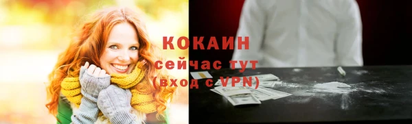 крисы Новокубанск
