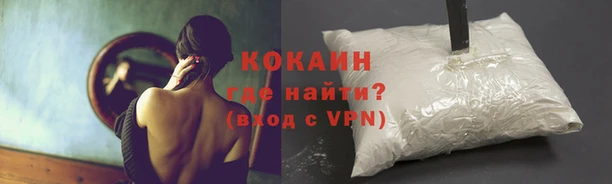 крисы Новокубанск