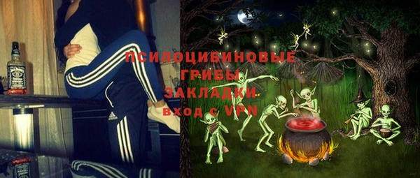 крисы Новокубанск