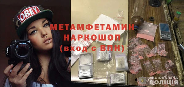 крисы Новокубанск