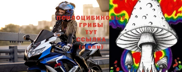 каннабис Новодвинск