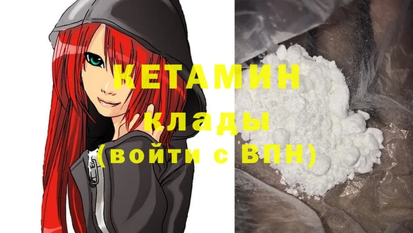 крисы Новокубанск
