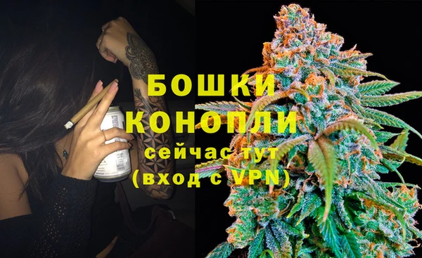 mdpv Новозыбков