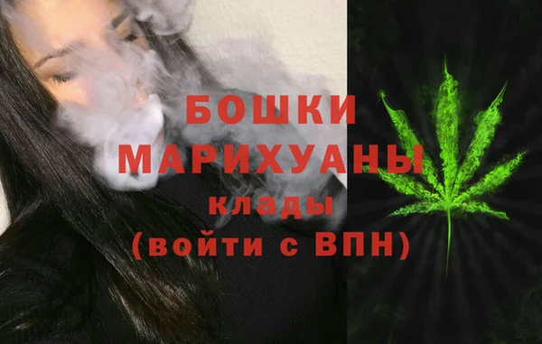 mdpv Новозыбков