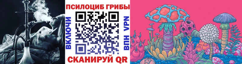 Галлюциногенные грибы Psilocybine cubensis  hydra зеркало  Покров  где можно купить  